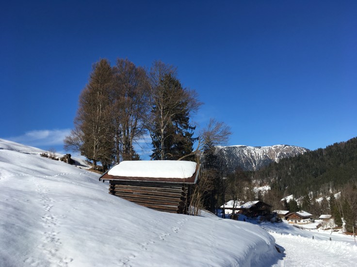 802F5464-52E4-49CC-A313-B6EB73328490