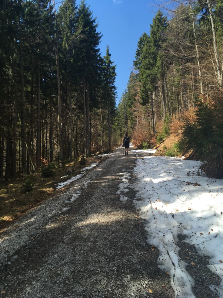 3B3D547A-70DA-4DB9-8389-10C9DC979C23