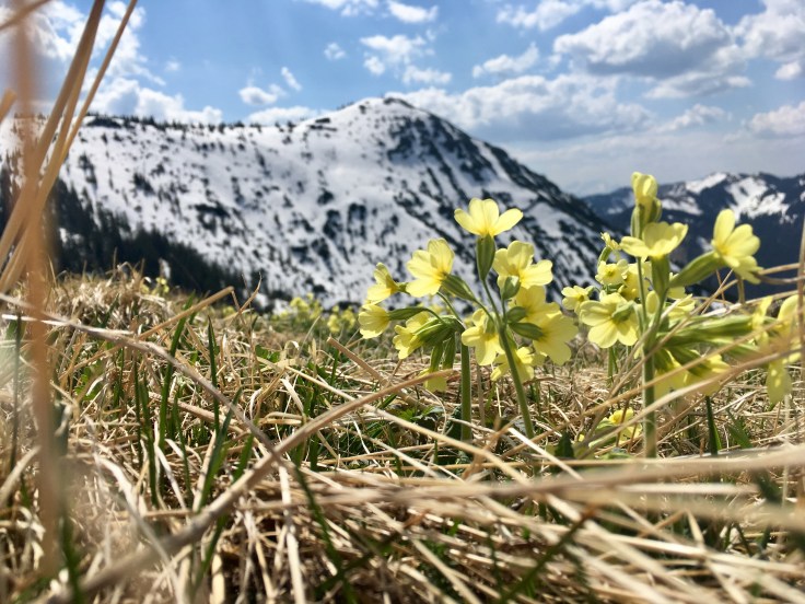 3FD01AC5-519C-45B7-A316-7505FA22239F