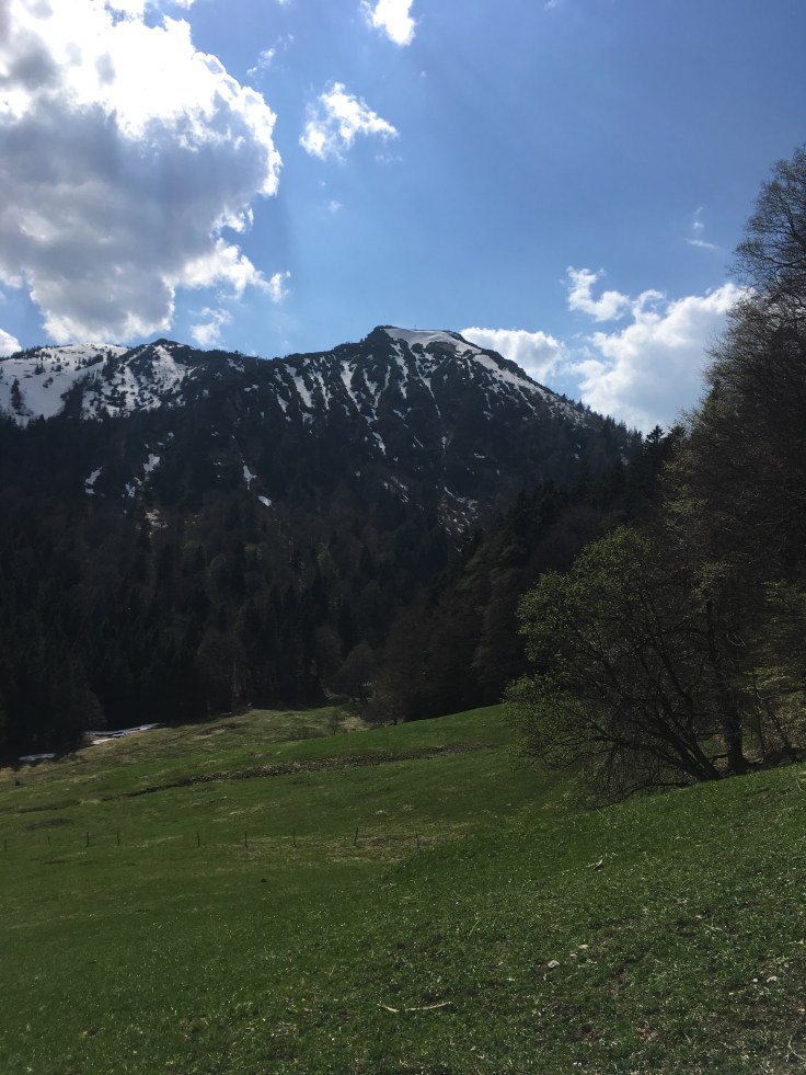 BE244F99-C799-45E7-801A-55E006DEB6DD