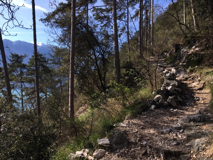 C719E489-E74C-4D03-9437-986522390882