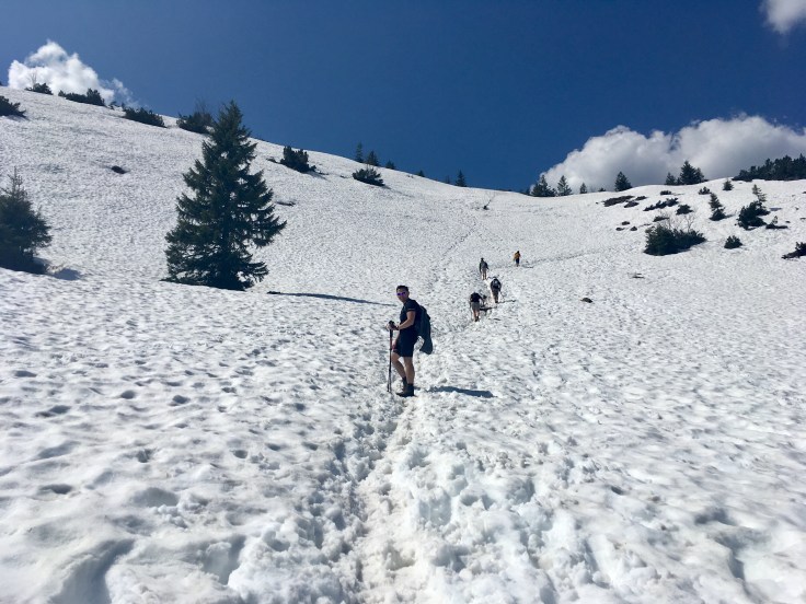 D340B466-93E4-4481-B7F5-A1F0F7639B04