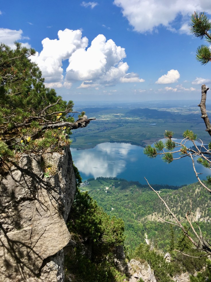 51C3232B-349E-4F76-B362-21497205C534