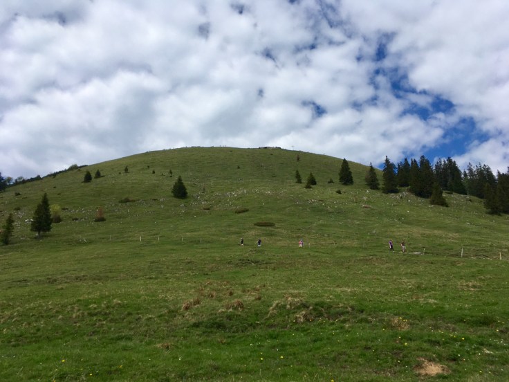 8E98879A-011F-4F77-91BE-455977FD6BF1