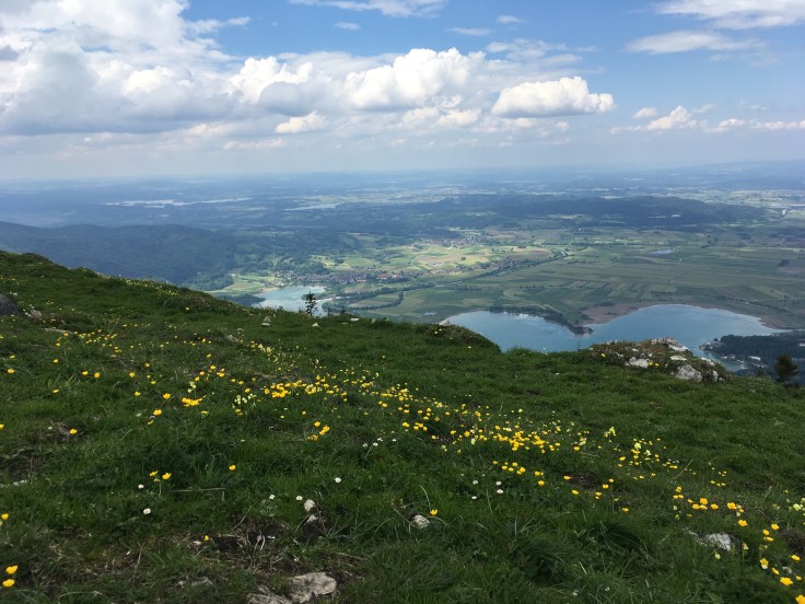 9FF3DEC8-B837-4FE8-A44C-D90EF3C2AE18