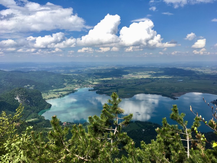 BED5CC82-D314-4797-B35D-8F6B283B36F2